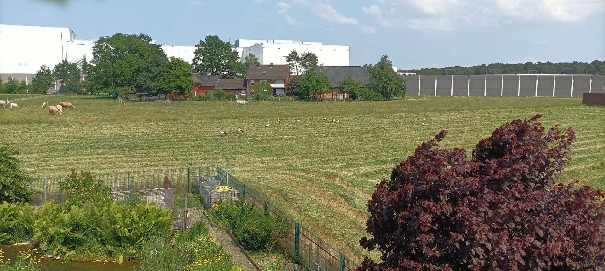 Apartmán Willy Und Gudrun Rheda-Wiedenbrück Exteriér fotografie